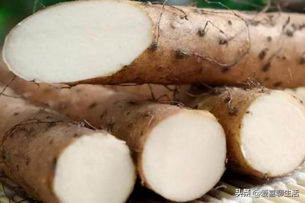 霜降來臨,要多吃6種根菜,順應時節應季而食,安穩度過季節交替 霜降來臨,要多吃6種根菜,順應時節應季而食,安穩度過季節交替