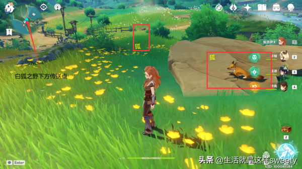 原神四方之網可捕捉小動物位置彙總一覽