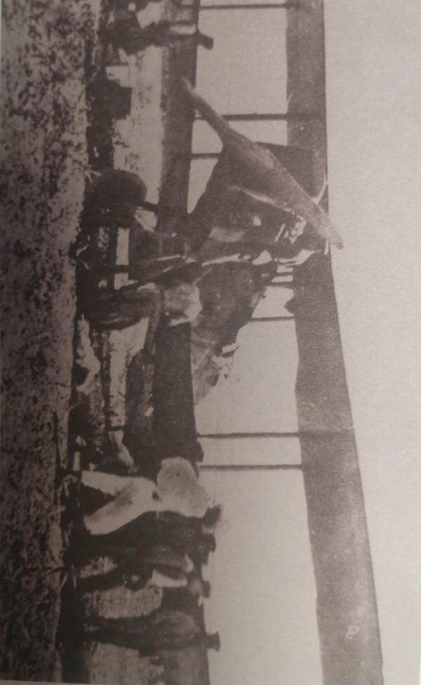 每天為大家帶來十張民國時期的老照片，感受不一樣的歷史（2）