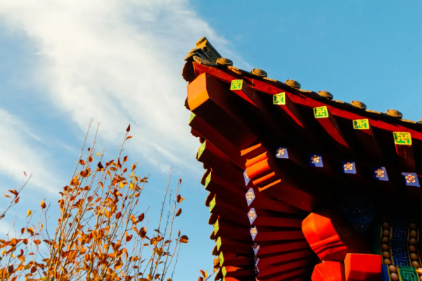 秋染副中心① | 漫步賞秋，張家灣公園內，秋色也能勝春朝！