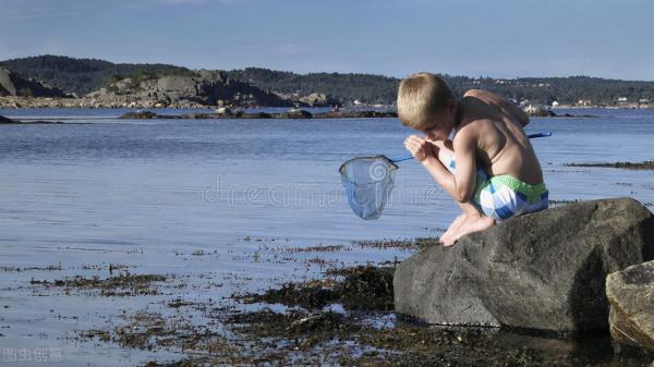 新手如何快速釣螃蟹呢？
