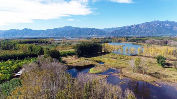 延慶再添“城市綠肺”~康西森林溼地公園“上線”
