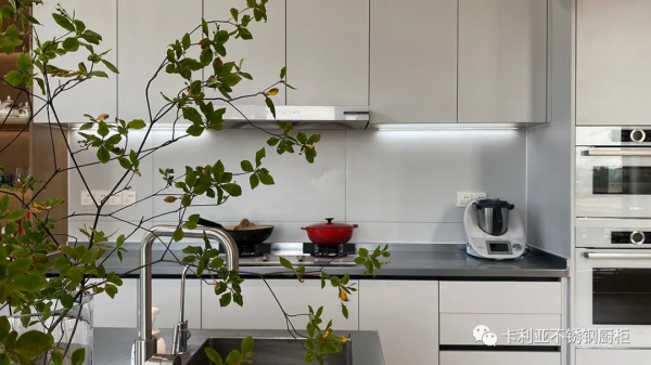 當設計遇上全鋼 | 卡利亞不鏽鋼別墅廚房案例實拍