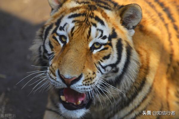 逆向思維:人生的開始,不是出生,而是真正認識自己的那一天 逆向思維:人生的開始,不是出生,而是真正認識自己的那一天