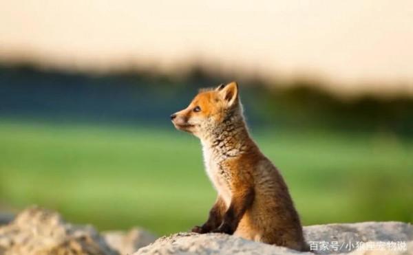 窮人不能缺野心