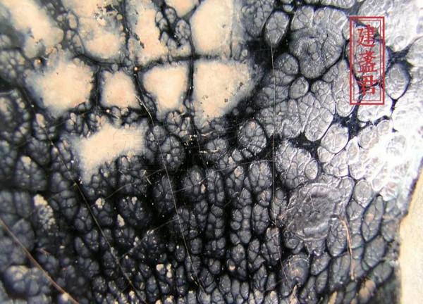 93圖賞鑑|國內收藏的各式建盞標本 93圖賞鑑|國內收藏的各式建盞標本