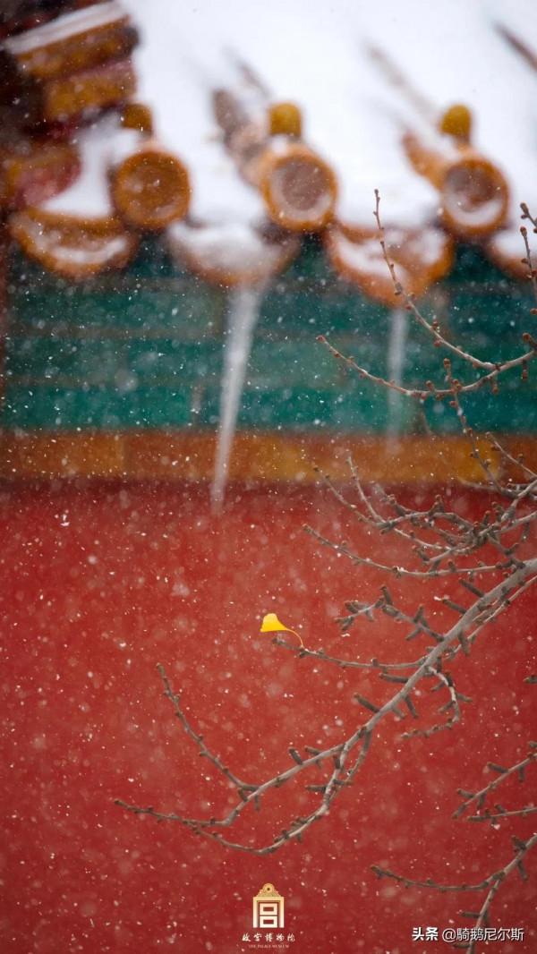 驚豔了時光，尋找故宮之美