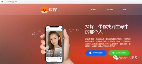 線上婚戀市場規模超80億！找物件？域名先行