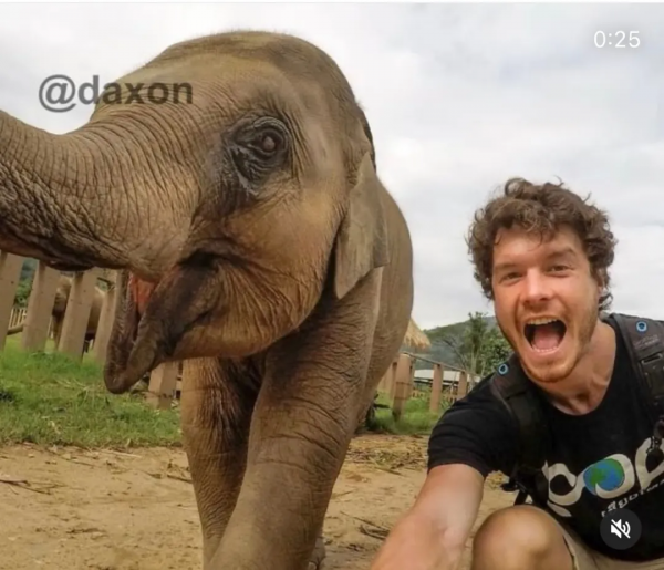 澳洲小哥靠一組照片成為“年度網紅”:絕了,每隻動物都會笑? 澳洲小哥靠一組照片成為“年度網紅”:絕了,每隻動物都會笑?