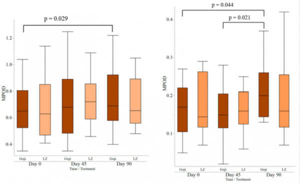 枸杞真能明目！加州大學臨床研究發現，每天28g枸杞或有助於防止年齡相關的黃斑變性，效果比保健品好丨奇點過大年