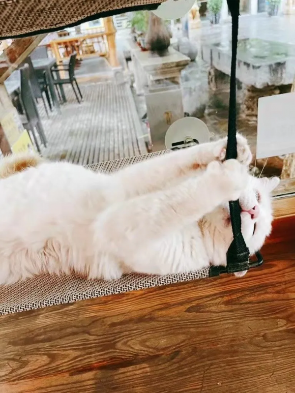 我 · 美食博主 · 觀復煎蛋