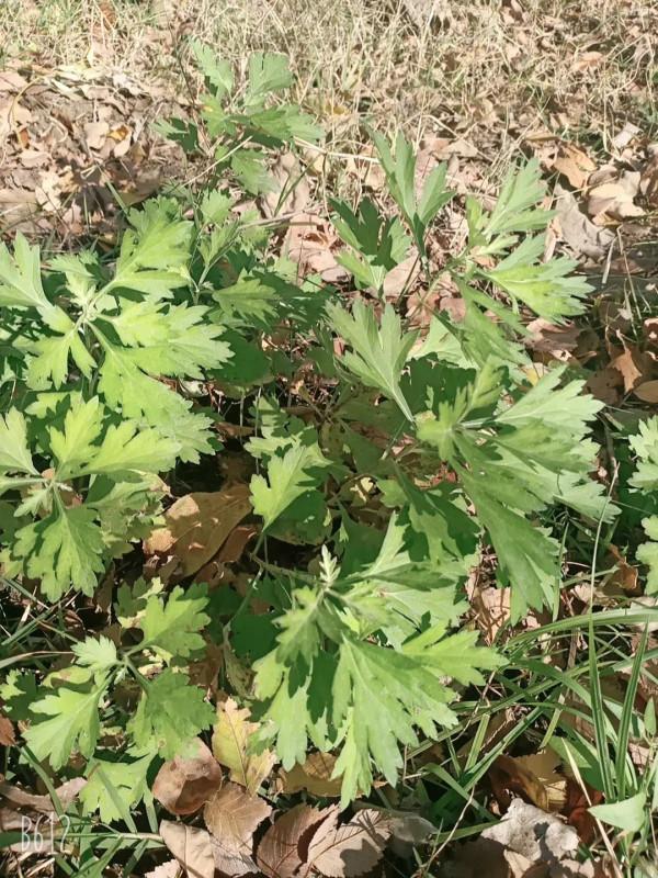 來,一起跑步放空自己 來,一起跑步放空自己