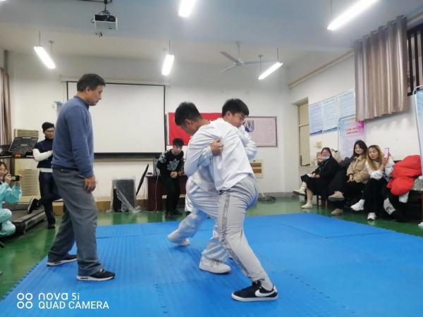九式太極拳套路及實用技法