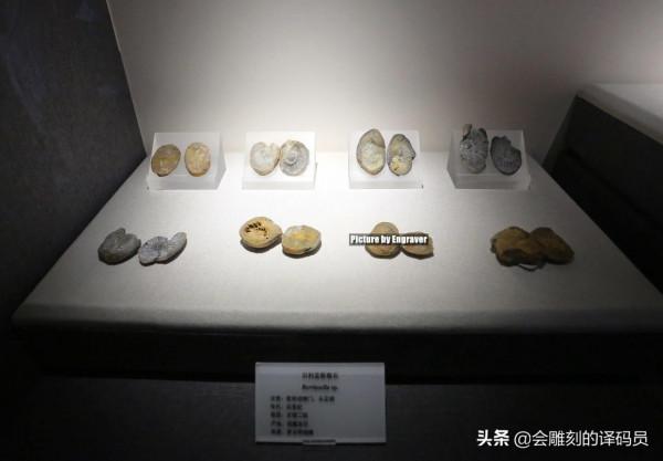 貴州地質博物館內的那些珍惜礦石（化石）、寶石你最喜歡那一塊？