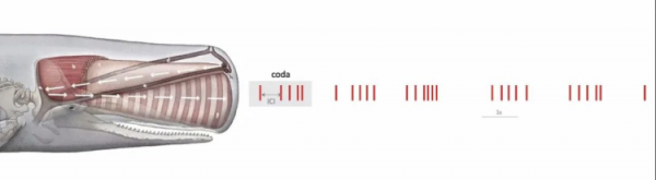 像電影《降臨》那樣，科學家正在打造跨物種語言的“羅塞塔石碑”