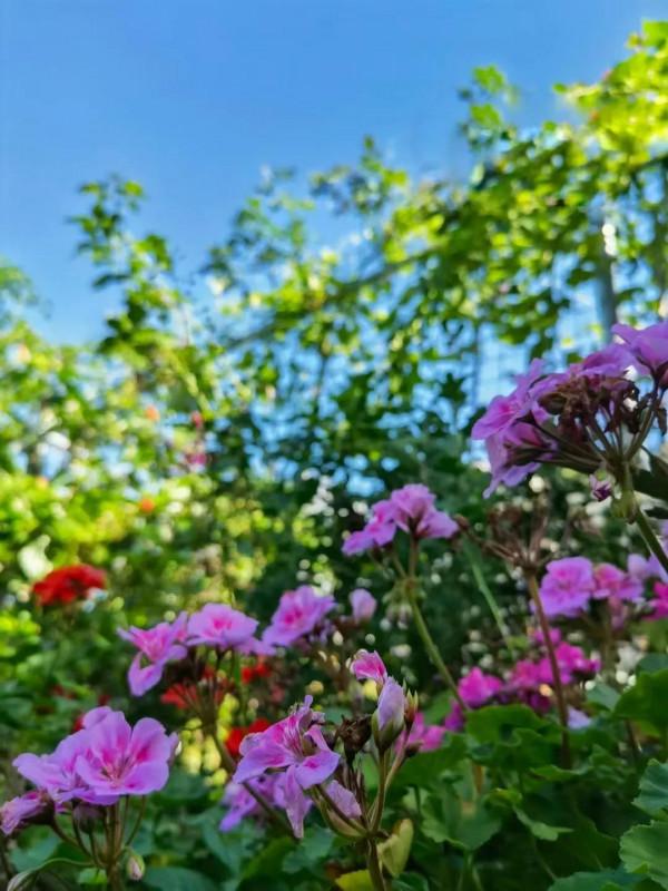 《我的大學》——最重要的是知道學什麼、怎麼學、為什麼學