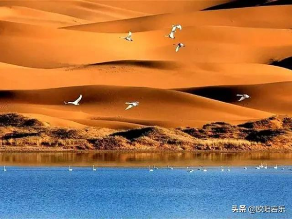 美到勾魂!10月的中國,這9個地方秋光乍洩,你應該在場啊 美到勾魂!10月的中國,這9個地方秋光乍洩,你應該在場啊