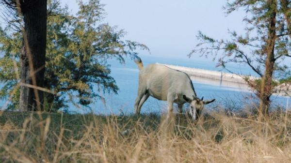 一個人來北海看海了 一個人來北海看海了