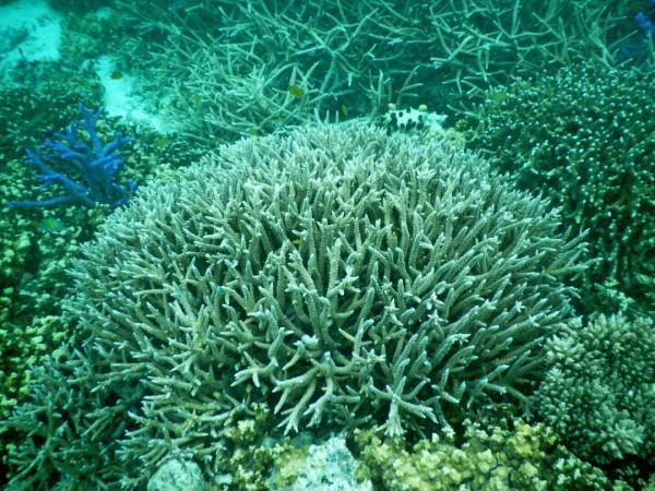 10年深度+豪華遊玩60國