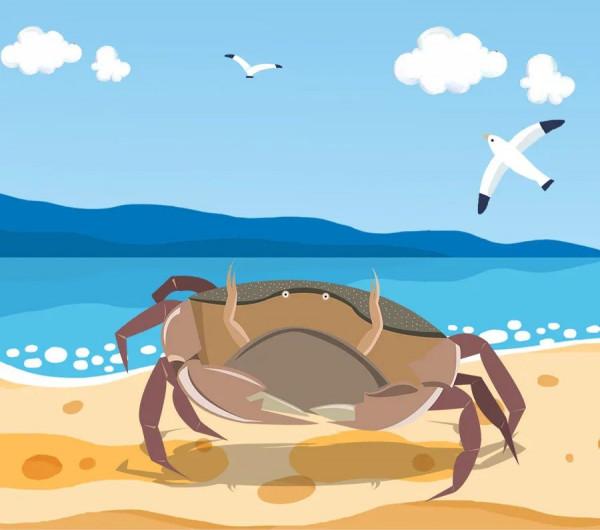 人與自然和諧共生教育：野生動物（三）​