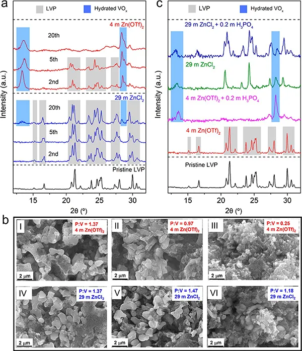 Linda F. Nazar:抑制水系鋅離子電池質子插層 Linda F. Nazar:抑制水系鋅離子電池質子插層