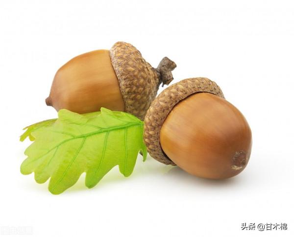 帶你一起回味62種南方野果子,它們是物質匱乏年代小朋友的零食 帶你一起回味62種南方野果子,它們是物質匱乏年代小朋友的零食