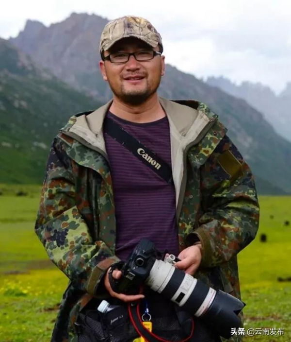 【雲南生物多樣性數字化百科圖譜】褐漁鴞：熱愛吃魚，也會白天活動，這怕是隻假貓頭鷹吧！