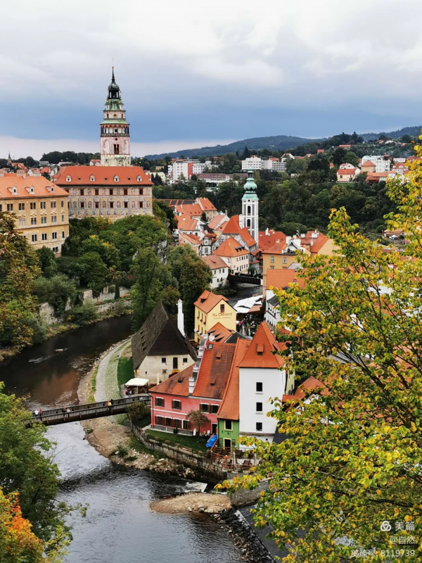 東北花友走遍歐洲著名花園,回國後建了座四季有花的北方花園 東北花友走遍歐洲著名花園,回國後建了座四季有花的北方花園