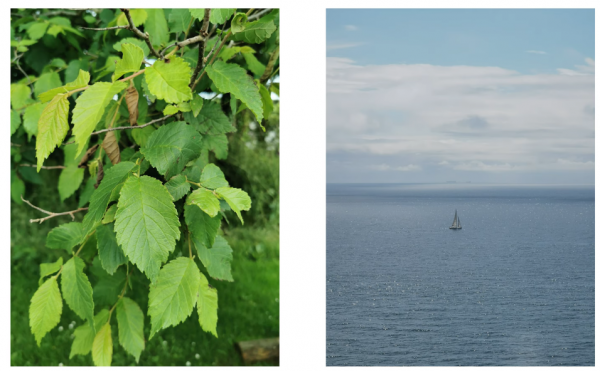 一臺2年前512GB版本的華為P30Pro，放在2021年，算啥價位的手機？