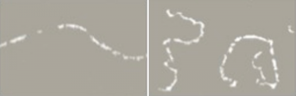 自己動手，在家做一回粒子物理實驗