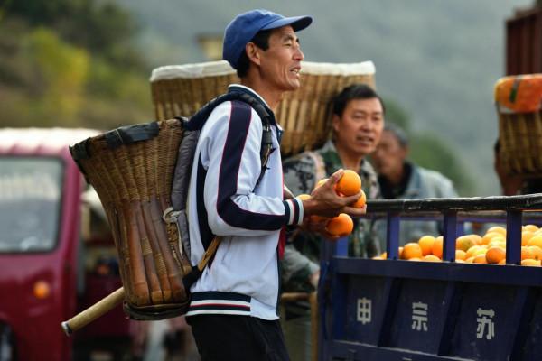 中國傳統村落：秭歸胡家坪