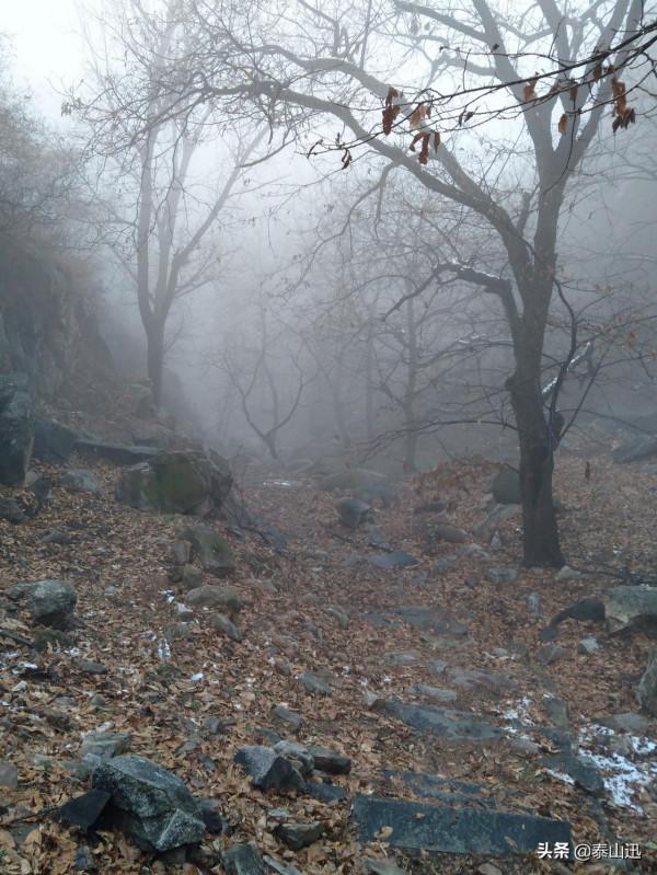 驢行泰山之初雪獨行