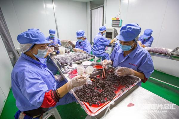 香甜的新疆瓜果走四方 香甜的新疆瓜果走四方