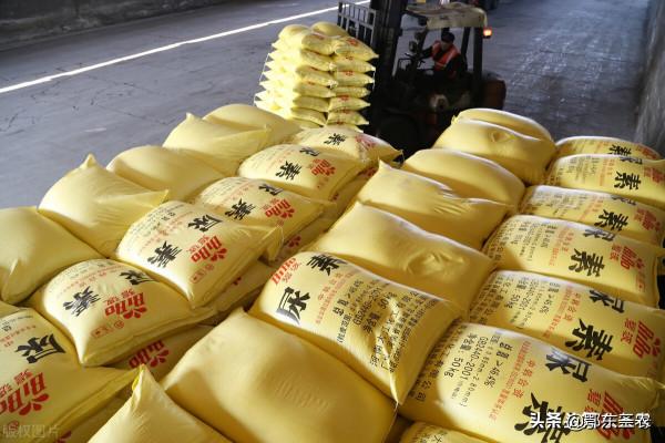 化肥漲價了，今年小麥播種，每畝需要多少投資？