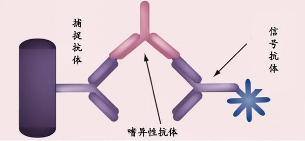 甲狀腺癌術後最重要的指標