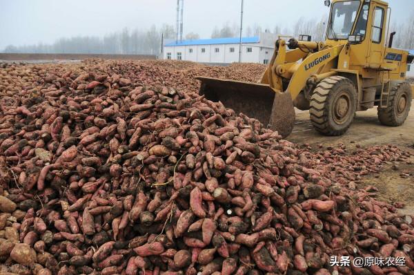 加工在鎮（鄉）、基地在村、增收在戶：繁榮農產品加工