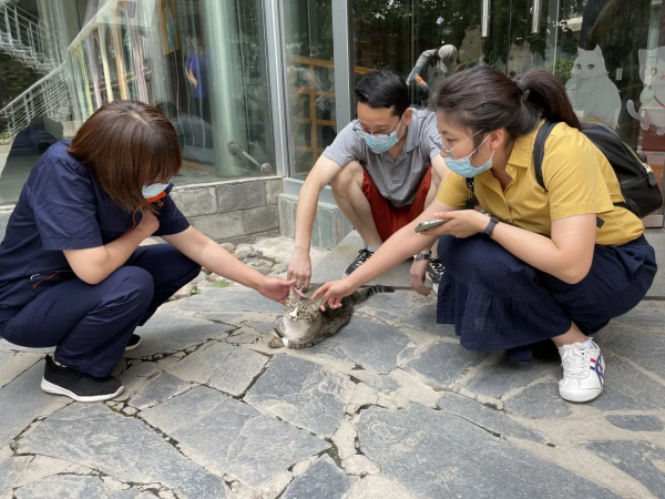 小廢貓要鹹魚翻身了咩? 小廢貓要鹹魚翻身了咩?