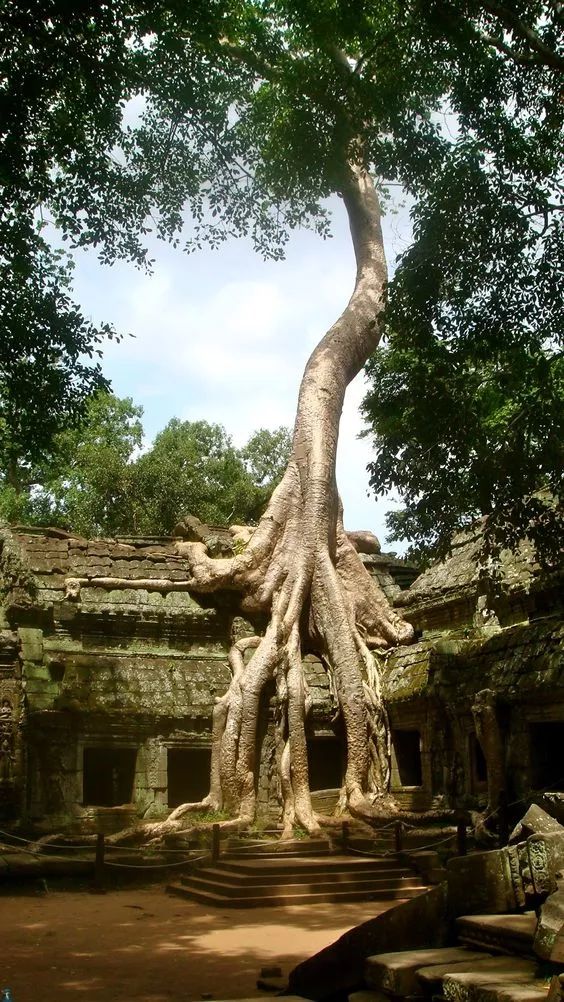 52張世界級頂尖照片,萬年奇觀!太刺激,太壯觀了 52張世界級頂尖照片,萬年奇觀!太刺激,太壯觀了