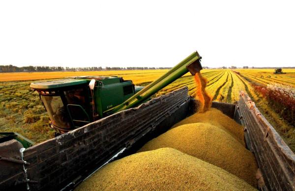 能源危機波及糧食安全？聯合國已發出預警：將會影響我們每一個人