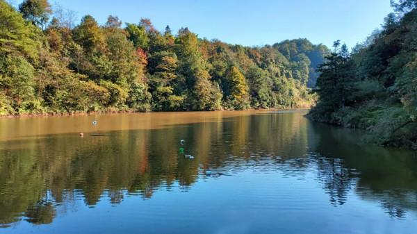 冬日暖陽,迴歸北緯29°康旅小鎮,吃刨豬湯、烤全羊逛大集辦年貨 冬日暖陽,迴歸北緯29°康旅小鎮,吃刨豬湯、烤全羊逛大集辦年貨