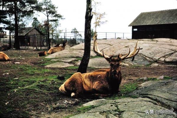 1968年芬蘭赫爾辛基的日常生活