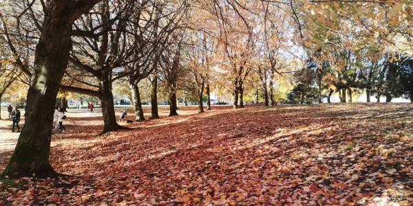 帶你遊溫哥華的小眾景點