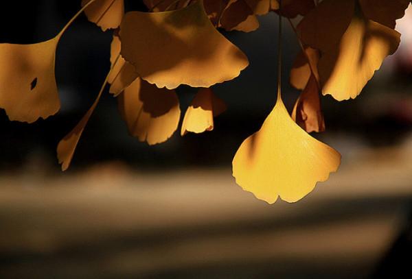 散文:淡看流年煙火,細品餘生靜好 散文:淡看流年煙火,細品餘生靜好