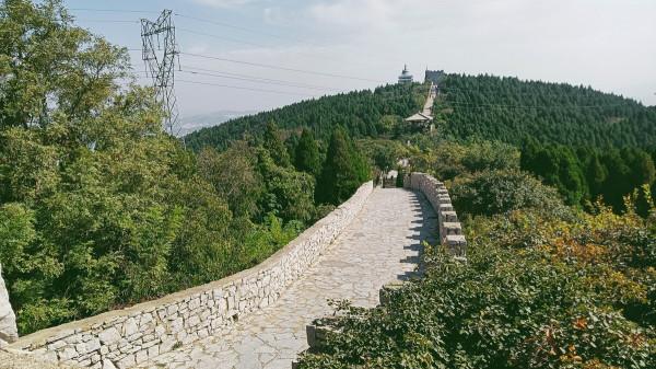 山東冷知識:推薦山東這20個世界之最和中國之最,你還知道哪些? 山東冷知識:推薦山東這20個世界之最和中國之最,你還知道哪些?