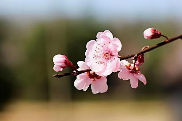 人到中年,聚散不驚,得失淡然,乃大智慧 人到中年,聚散不驚,得失淡然,乃大智慧