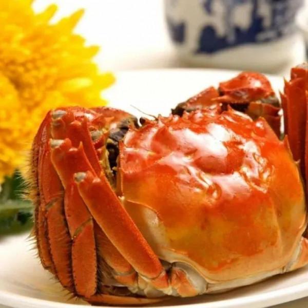 豐富多彩的浪漫“香”遇,正在青浦等你哦~跟著特色線路遊起來 豐富多彩的浪漫“香”遇,正在青浦等你哦~跟著特色線路遊起來