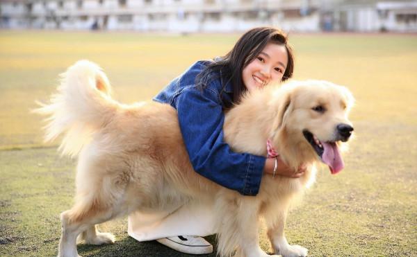 女生適合養什麼“大狗狗”？網友：看到很難不心動