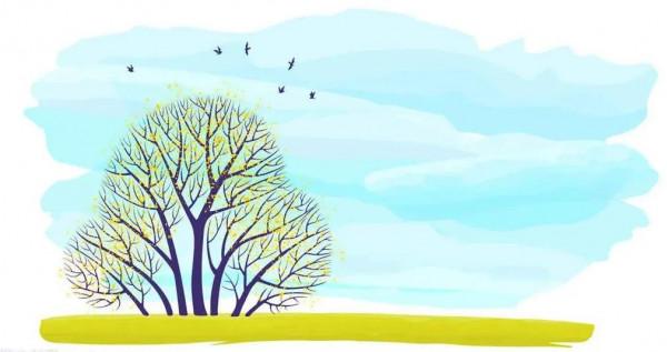 愛鳥人（小小說）