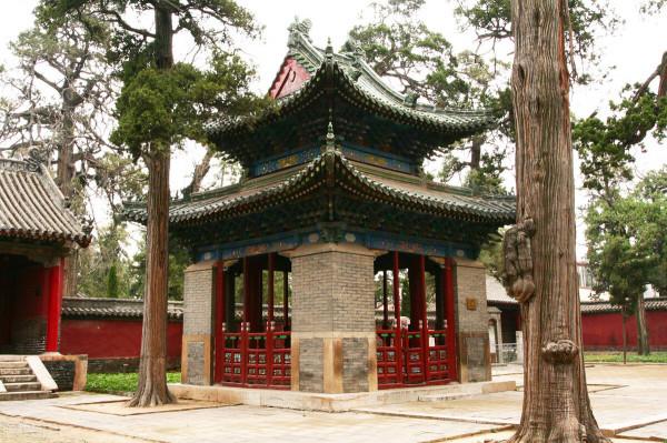 毛主席對十八個帝王的評價一針見血，你認為這些評價中肯嗎？