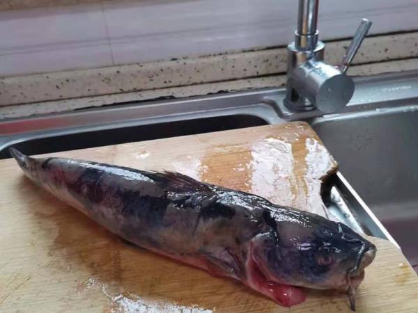 超好吃腐皮肉卷：新馬開胃小吃